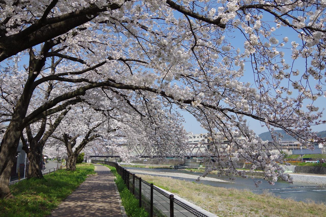 Kamo Riverside Kyonoya 2*