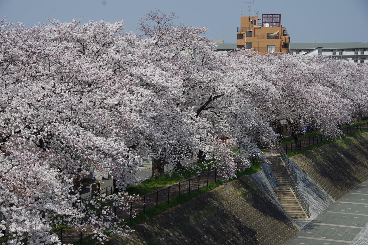 Aparthotel Kamo Riverside Kyonoya Kyoto